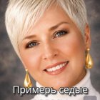  [*pagetitle*]  4