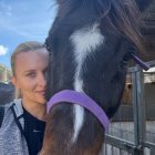  [*pagetitle*]  3